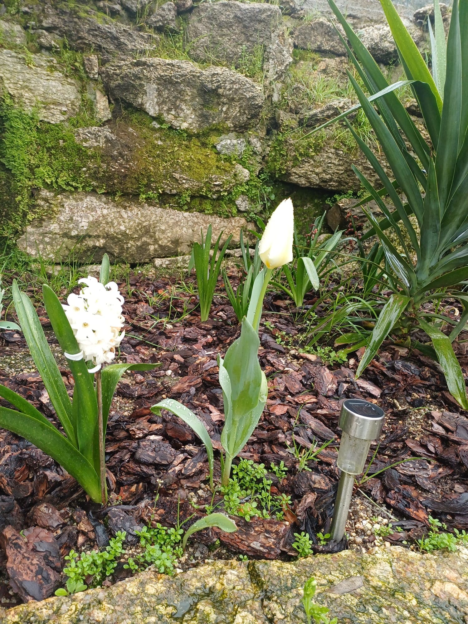 Quinta das Flores da Mãe 5