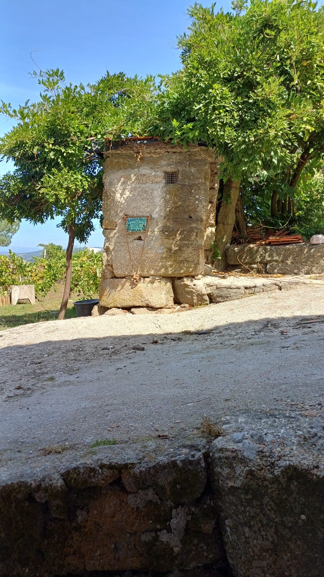 Quinta das Flores da Mãe 6
